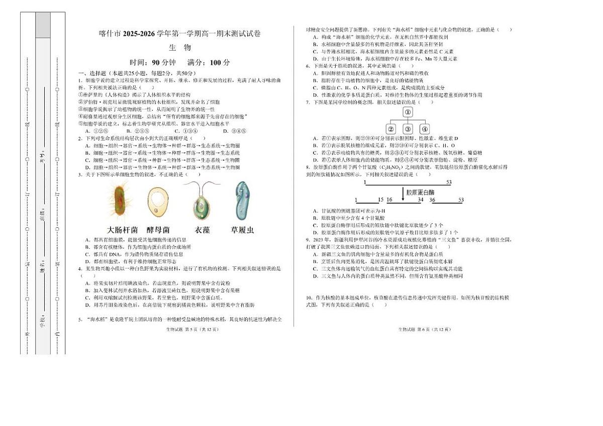 2025-2026学年新疆维吾尔自治区喀什市高一上学期期末考试生物试题（含解析）第1页