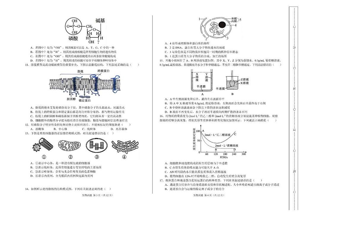 2025-2026学年新疆维吾尔自治区喀什市高一上学期期末考试生物试题（含解析）第2页