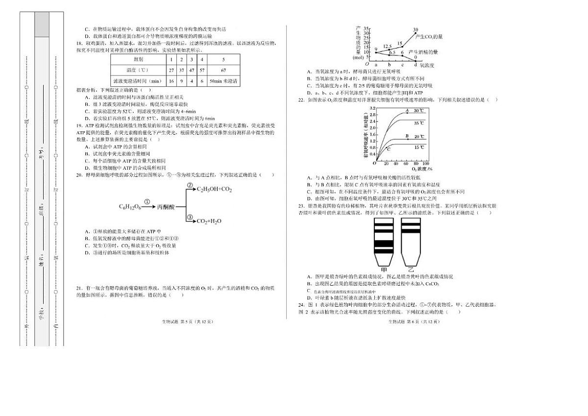 2025-2026学年新疆维吾尔自治区喀什市高一上学期期末考试生物试题（含解析）第3页