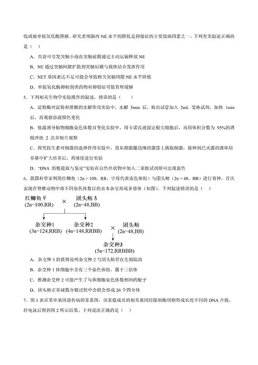 2026届青海省西宁市第十四中学高三上学期第二次模拟考试生物试卷（含答案）第2页