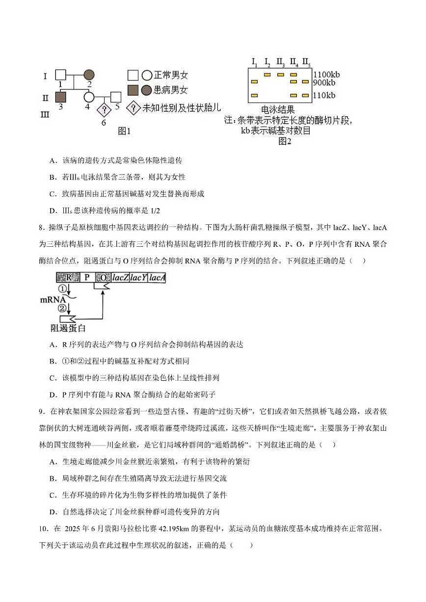 2026届青海省西宁市第十四中学高三上学期第二次模拟考试生物试卷（含答案）第3页