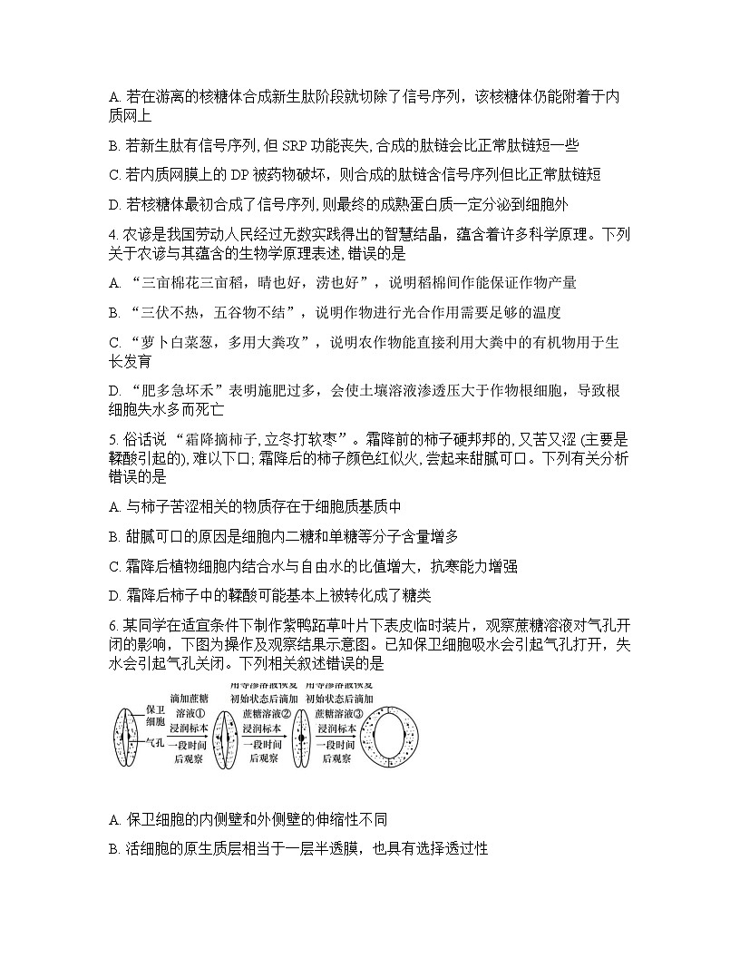 辽宁省实验中学2026年2月高一下学期期初试卷生物学含答案第2页