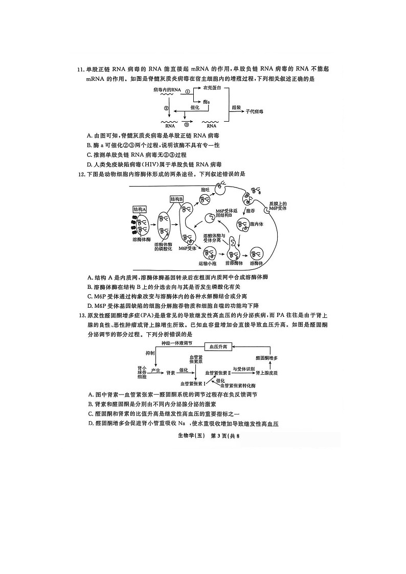 辽宁名校联盟2025-2026学年高三下学期高考调研（五）生物卷含答案第3页