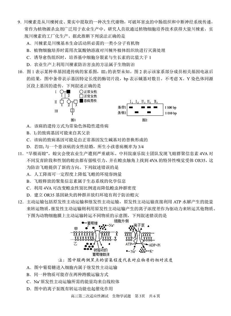 南宁三中2025年5月高三二模生物试卷第3页