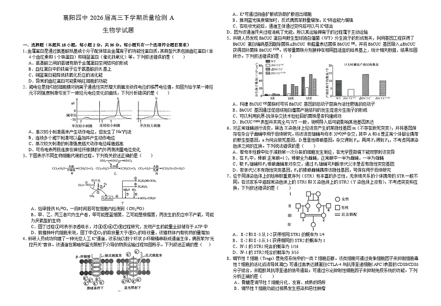 襄阳四中2026届高三下学期质量检测 生物+答案第1页