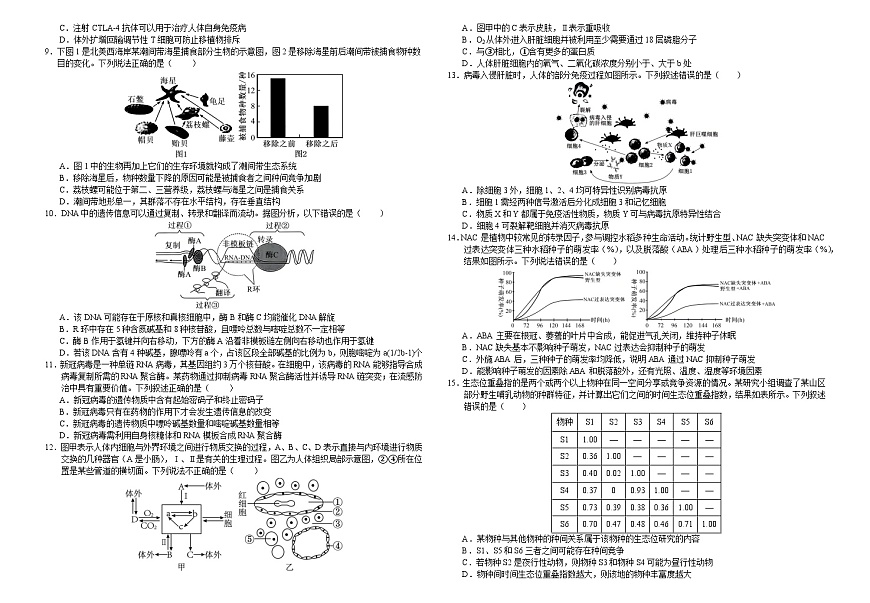 襄阳四中2026届高三下学期质量检测 生物+答案第2页