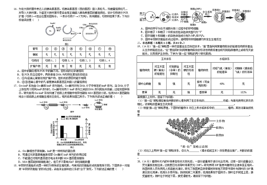 襄阳四中2026届高三下学期质量检测 生物+答案第3页
