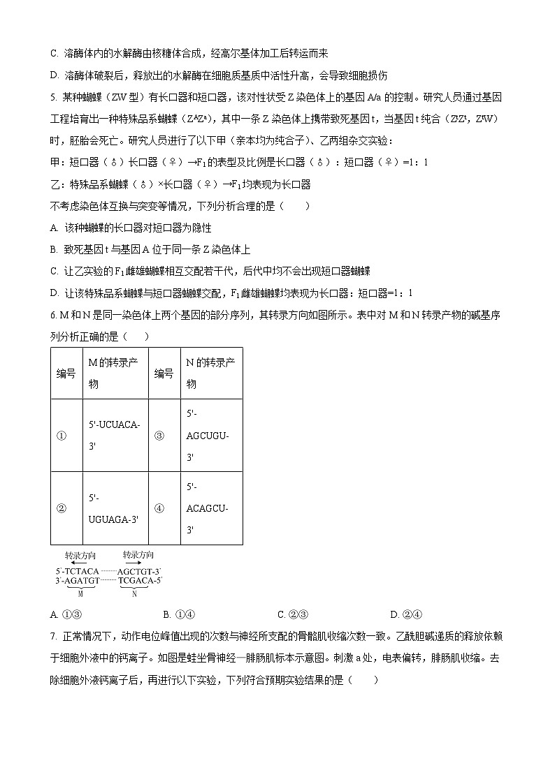 湖南省株洲市芦淞区株洲市南方中学2023级高三下学期2月阶段性检测生物试题  Word版无答案第2页