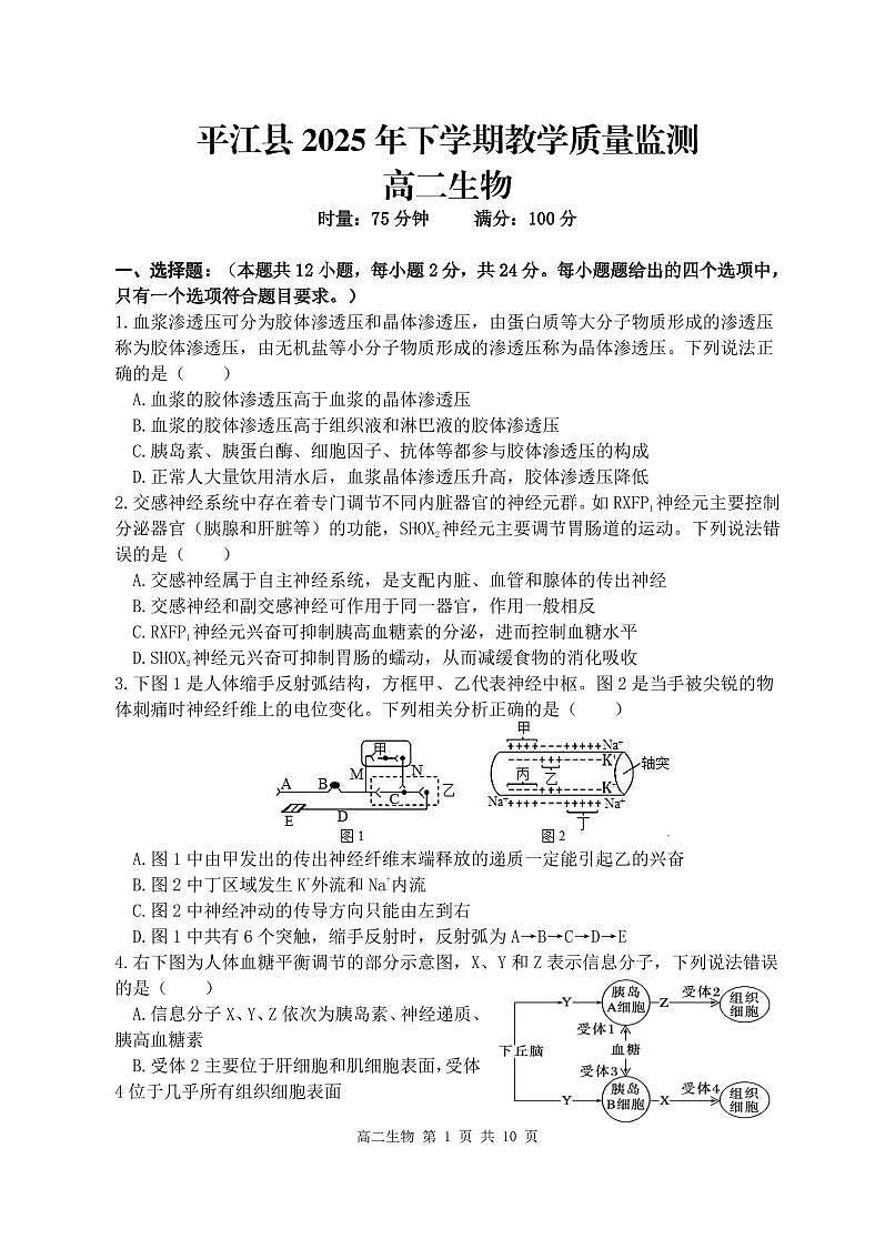 10.6 平江县2025年下学期教学质量监测（高二生物）第1页