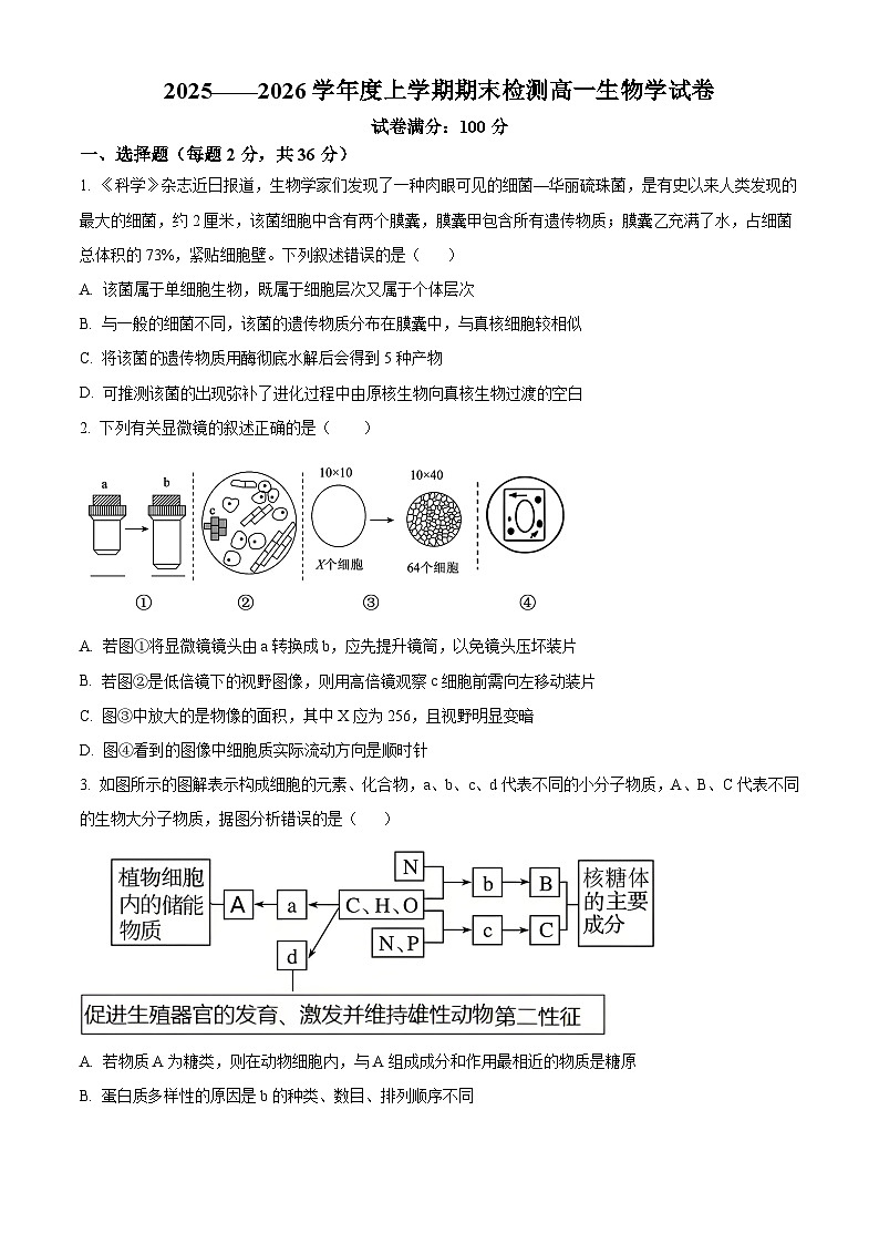 湖北武汉市武昌区湖北省武昌实验中学2025-2026学年高一上学期2月期末生物试题 Word版无答案第1页