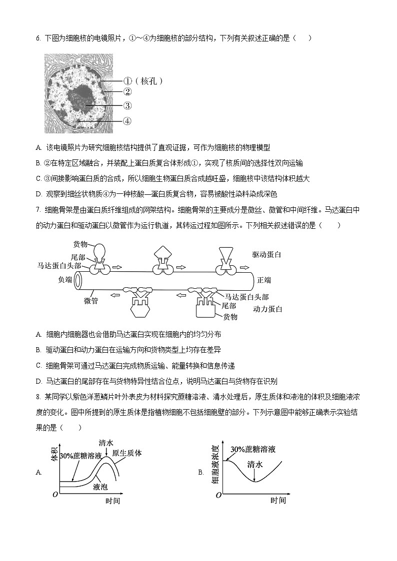 湖北武汉市武昌区湖北省武昌实验中学2025-2026学年高一上学期2月期末生物试题 Word版无答案第3页