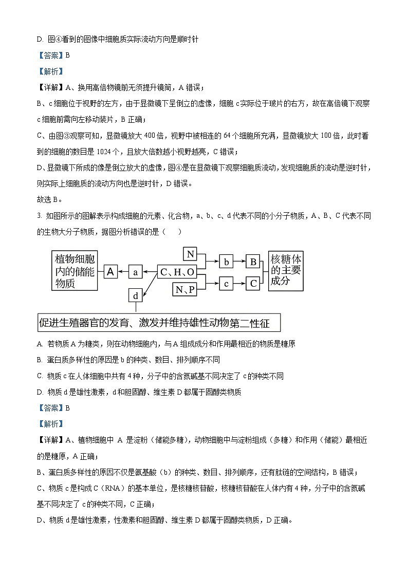 湖北武汉市武昌区湖北省武昌实验中学2025-2026学年高一上学期2月期末生物试题 Word版含解析第2页
