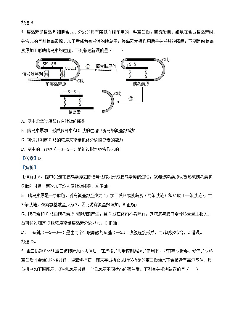湖北武汉市武昌区湖北省武昌实验中学2025-2026学年高一上学期2月期末生物试题 Word版含解析第3页