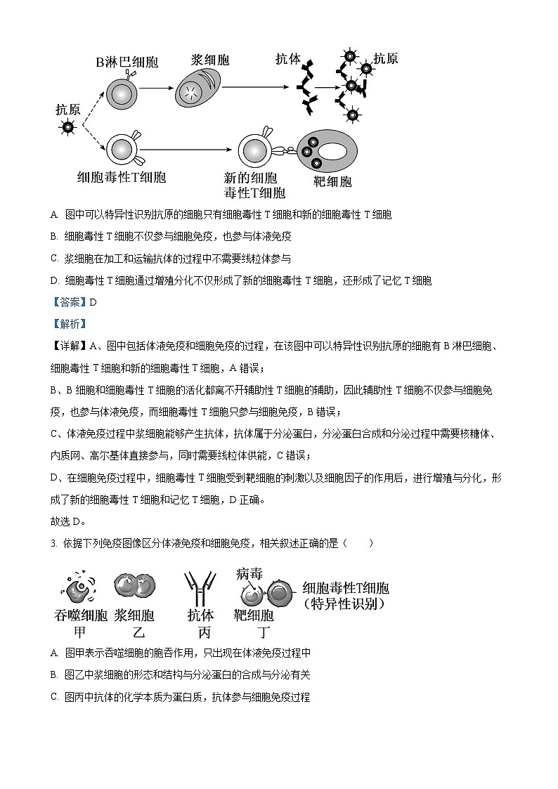 湖北武汉市武昌区湖北省武昌实验中学2025-2026学年高二上学期2月期末生物试题 Word版含解析第2页
