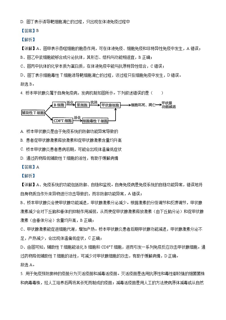 湖北武汉市武昌区湖北省武昌实验中学2025-2026学年高二上学期2月期末生物试题 Word版含解析第3页