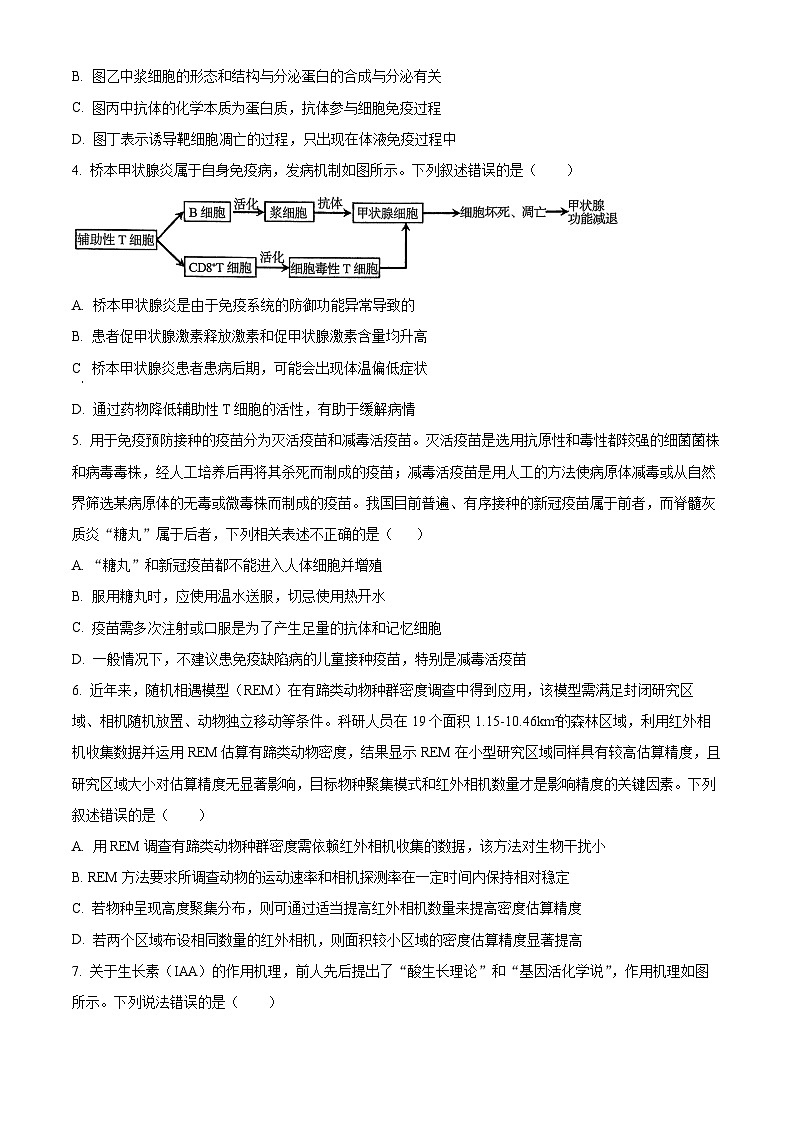 湖北武汉市武昌区湖北省武昌实验中学2025-2026学年高二上学期2月期末生物试题 Word版无答案第2页