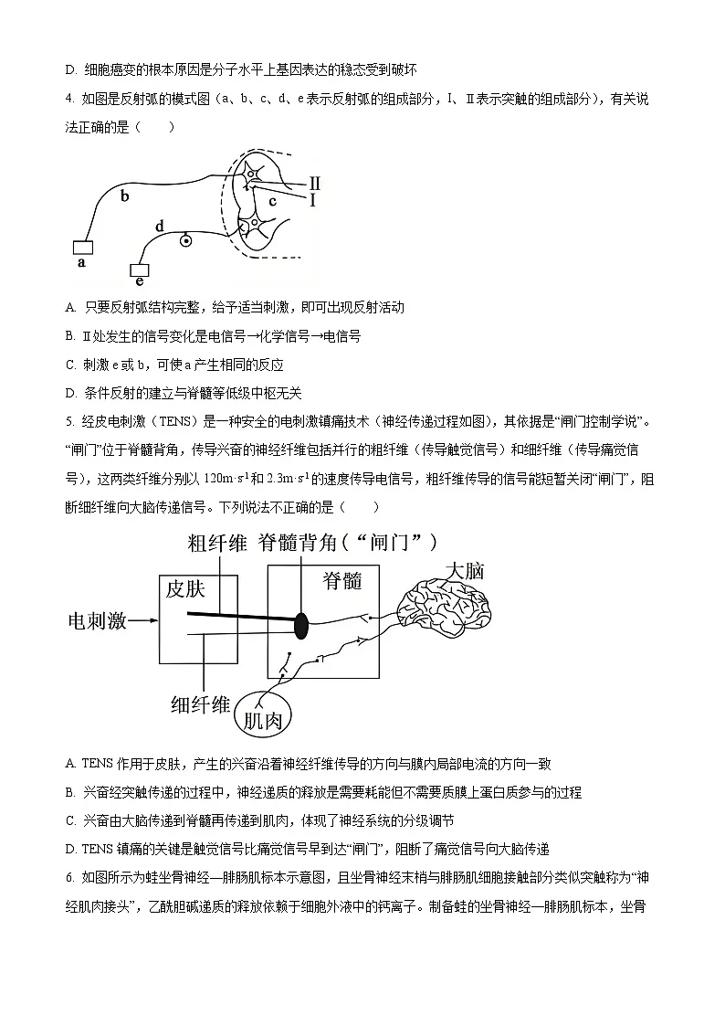 湖北随州市2025—2026学年高二上学期期末考试生物试题 Word版无答案第2页