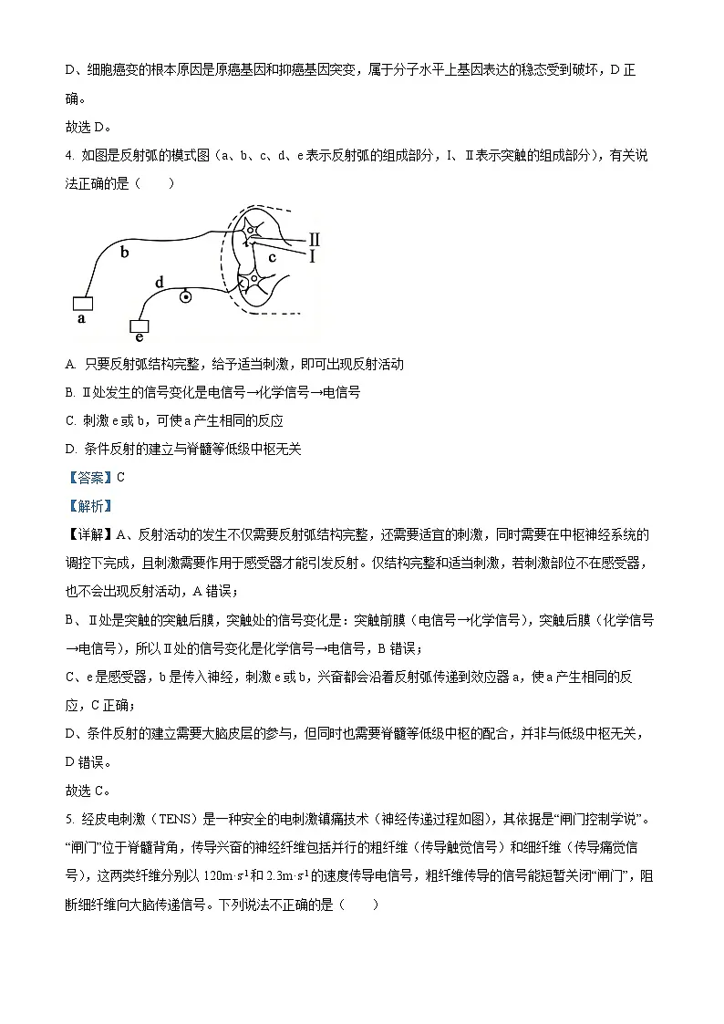 湖北随州市2025—2026学年高二上学期期末考试生物试题 Word版含解析第3页