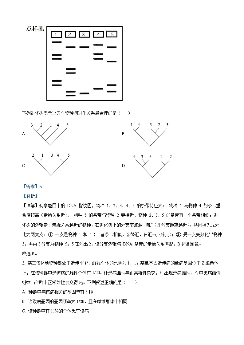湖北十堰市茅箭区十堰市第一中学2025-2026学年第一学期期末考试试卷高二生物 Word版含解析第2页