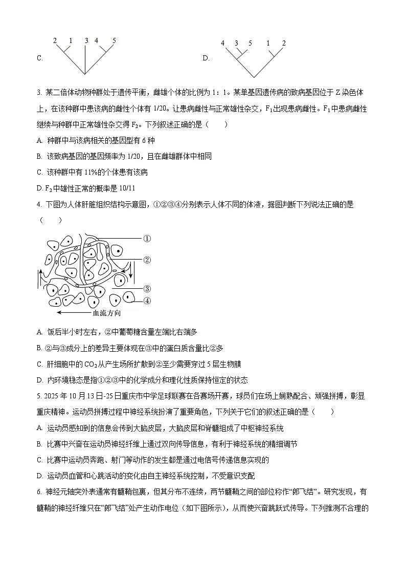 湖北十堰市茅箭区十堰市第一中学2025-2026学年第一学期期末考试试卷高二生物 Word版无答案第2页
