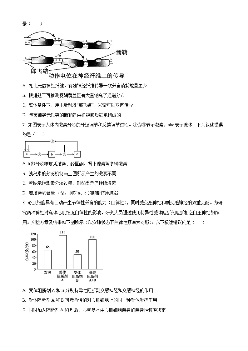 湖北十堰市茅箭区十堰市第一中学2025-2026学年第一学期期末考试试卷高二生物 Word版无答案第3页