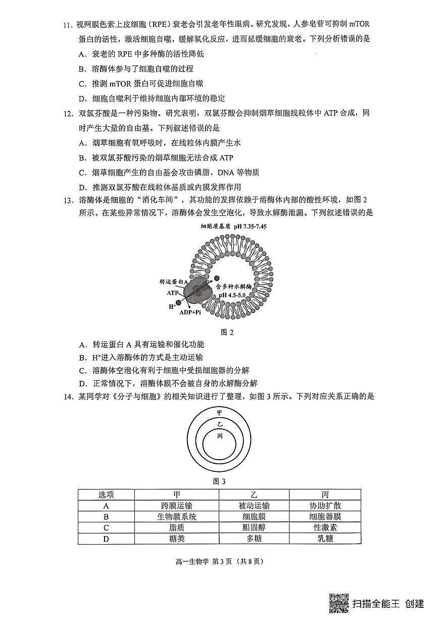 广东佛山市2025—2026学年高一上学期供题训练生物练习（期末）第3页