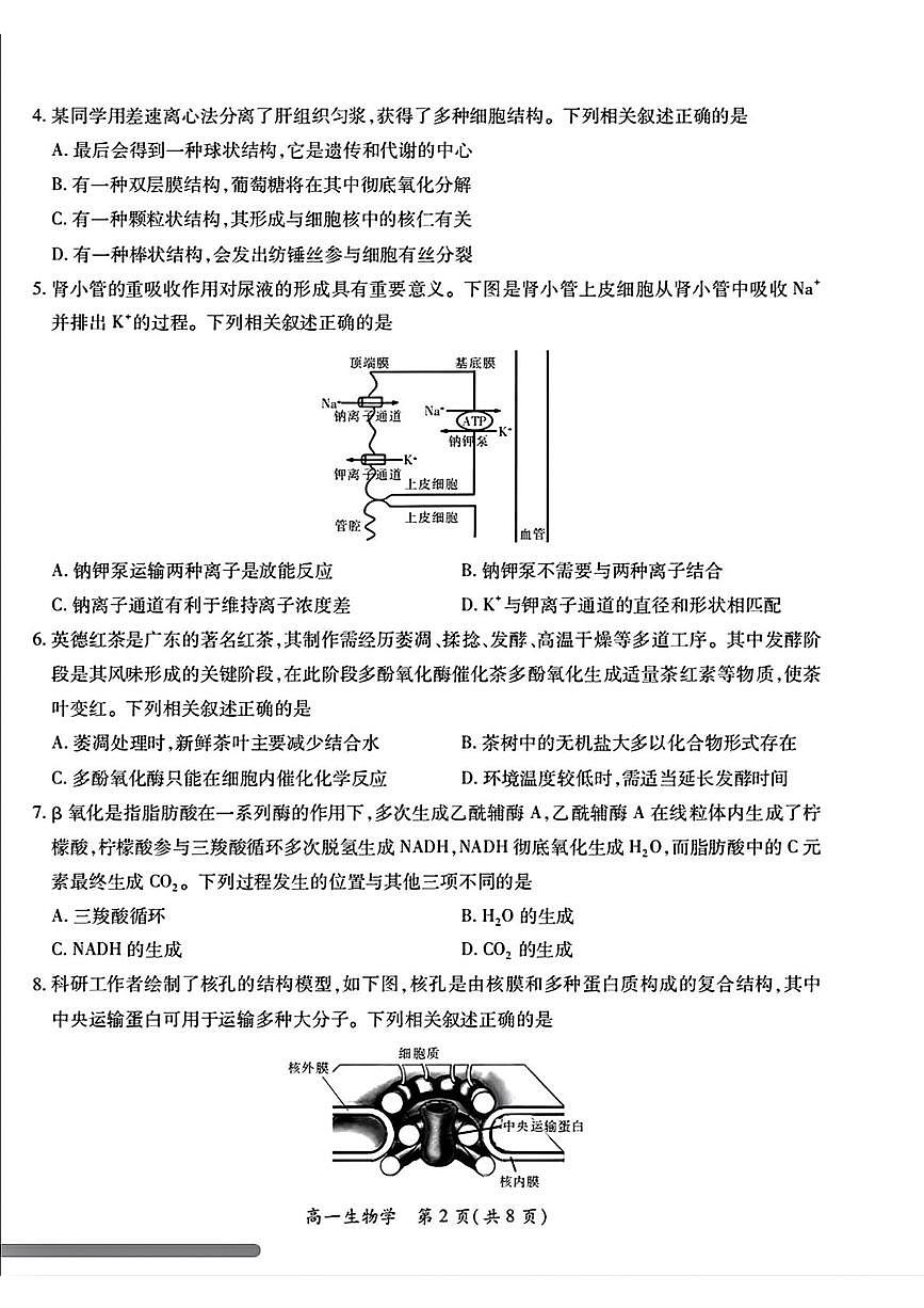 广东珠海市第一中学等校2025—2026学年高一年级上学期综合练习生物学试卷（期末）第2页