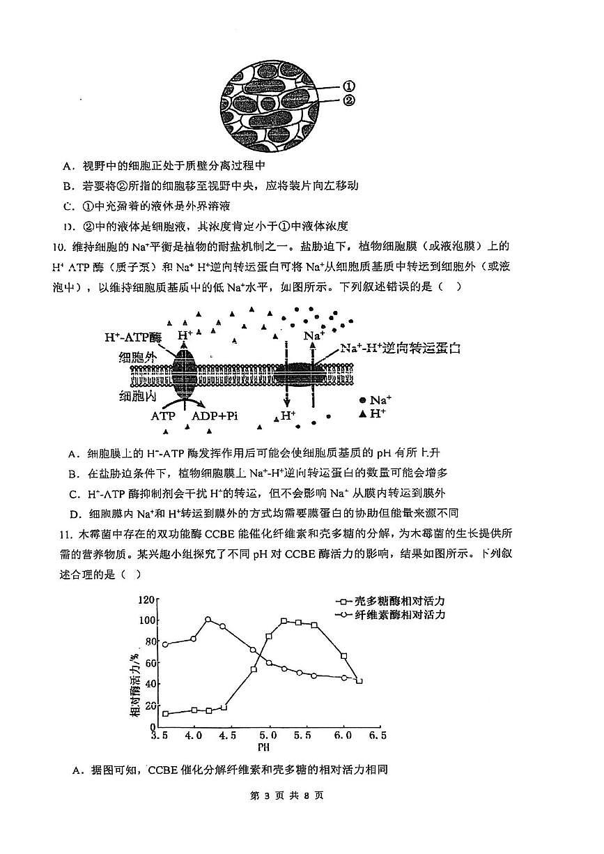 广东肇庆市鼎湖中学2025—2026学年第一学期高一年级综合素质检测生物（期末）第3页