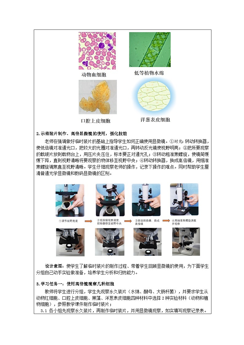 人教版（2019）高中生物必修一 3.2 使用显微镜观察几种细胞及用高倍显微镜观察叶绿体和细胞质的流动 教案（表格式）第2页