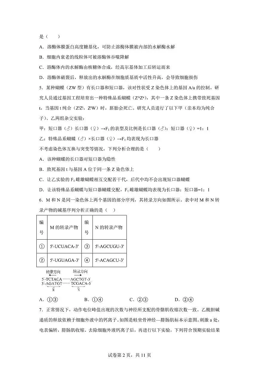 湖南省株洲市芦淞区株洲市南方中学2023级高三下学期2月阶段性检测生物试题第2页