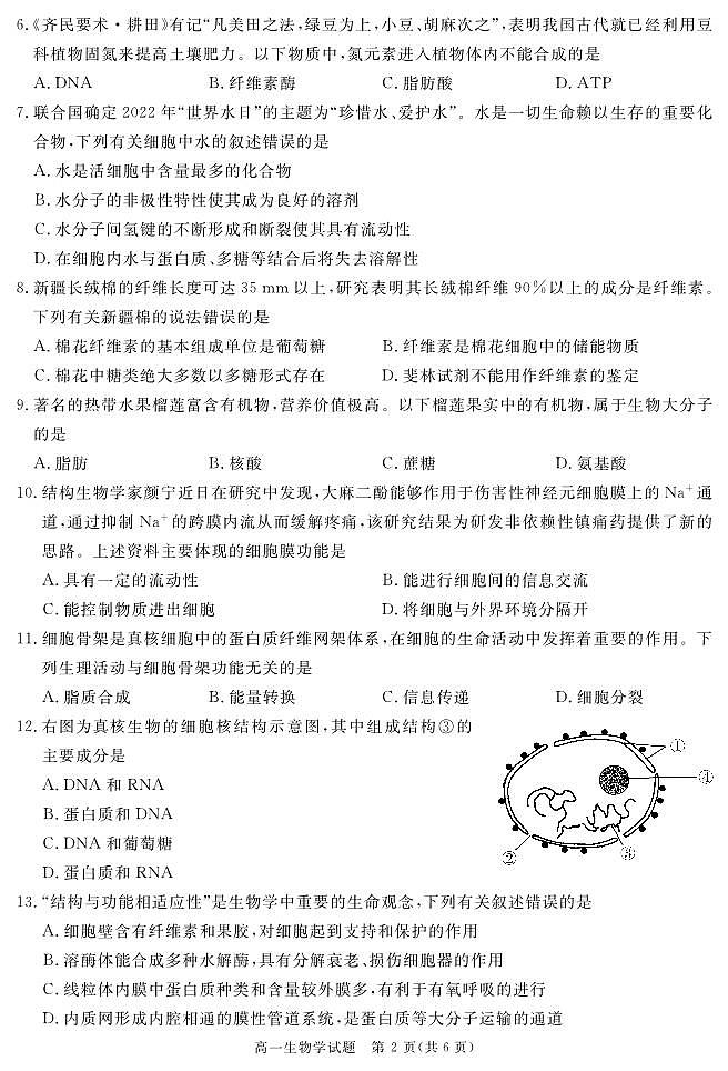 SN (地区)高一上期末生物第2页