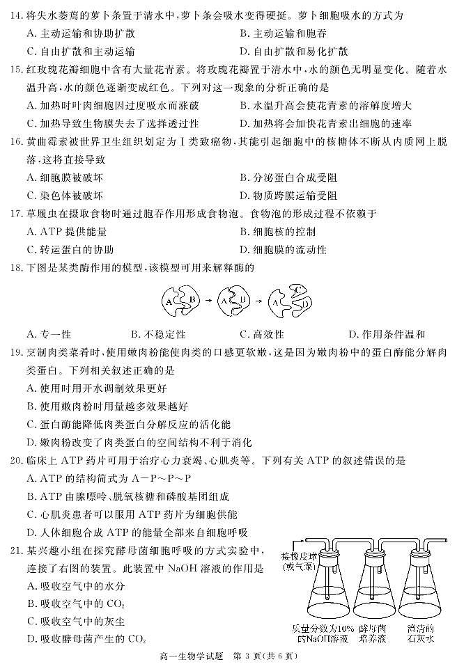 SN (地区)高一上期末生物第3页