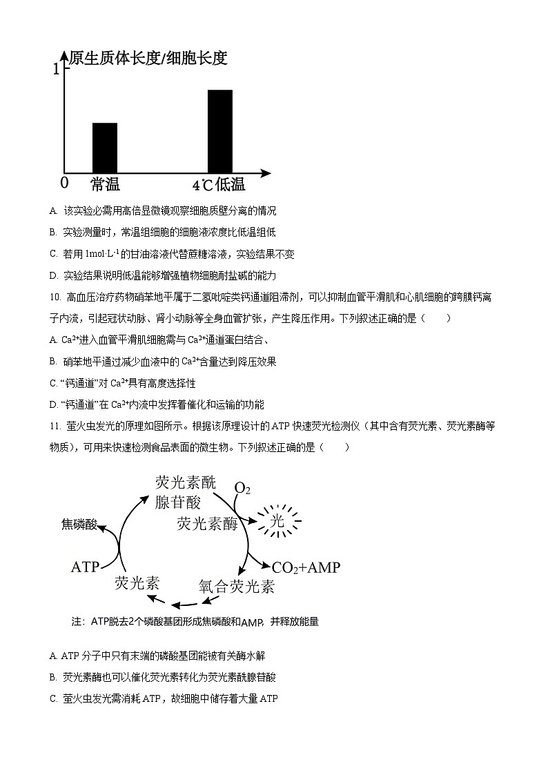安徽黄山市2025-2026学年度第一学期期末质量检测 高一生物学试题（试卷+解析）第3页