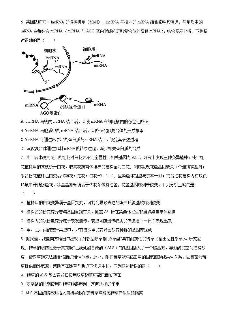 安徽铜陵市鼎尖名校2025-2026学年高三上学期期末联考生物试题（试卷+解析）第3页