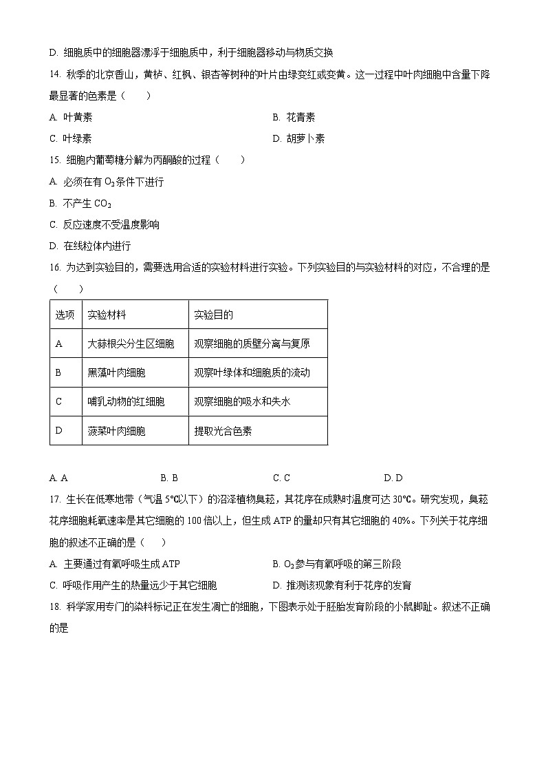 北京市通州区2026年高一上学期期末生物学试题（试卷+解析）第3页