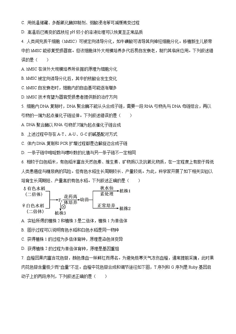 贵州铜仁市2026年2月期末质量监测高三生物试上学期期末题（试卷+解析）第2页