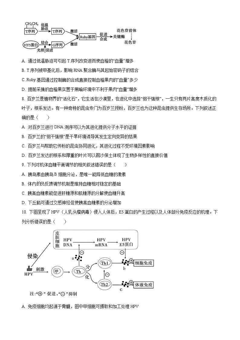 贵州铜仁市2026年2月期末质量监测高三生物试上学期期末题（试卷+解析）第3页