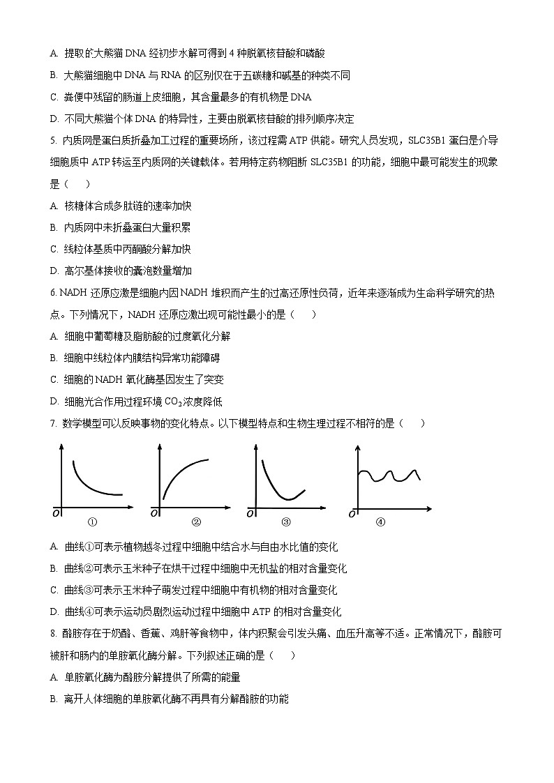 广东茂名市2025-2026学年第一学期教学质量监测 高一生物学上学期期末（试卷+解析）第2页