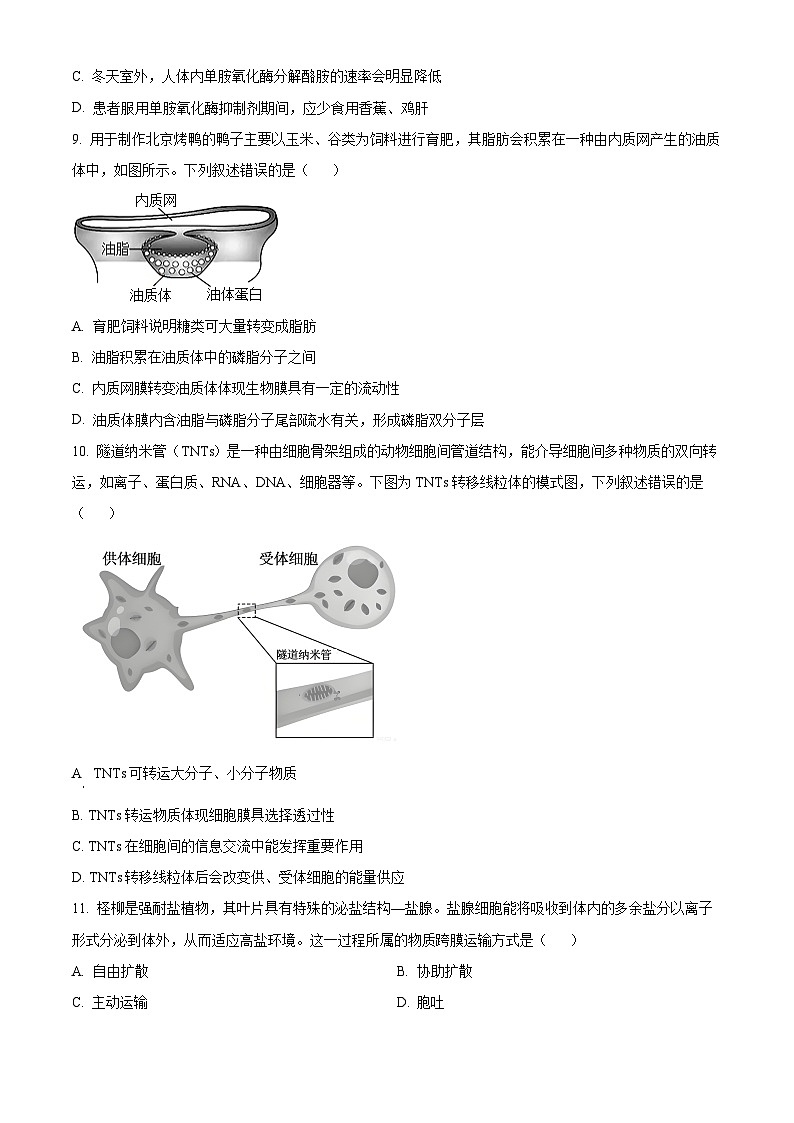 广东茂名市2025-2026学年第一学期教学质量监测 高一生物学上学期期末（试卷+解析）第3页