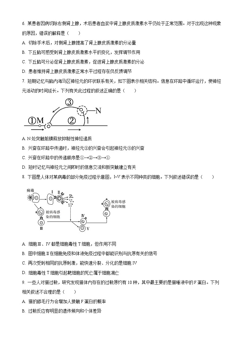 广东省大湾区普通高中2025一2026学年第一学期期末综合练习题高二生物学试题（试卷+解析）第3页