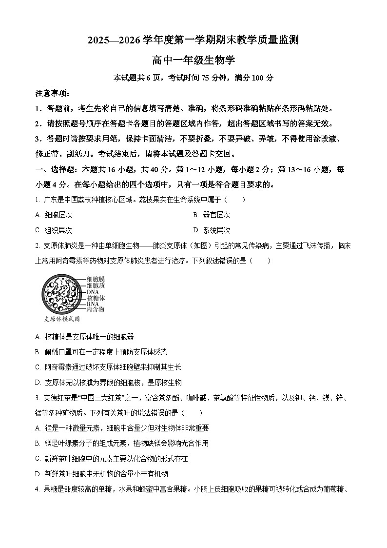 广东省汕尾市2025-2026学年度第一学期期末教学质量监测高一生物试卷（试卷+解析）第1页