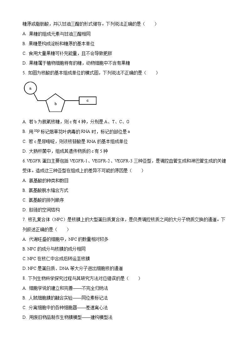 广东省汕尾市2025-2026学年度第一学期期末教学质量监测高一生物试卷（试卷+解析）第2页