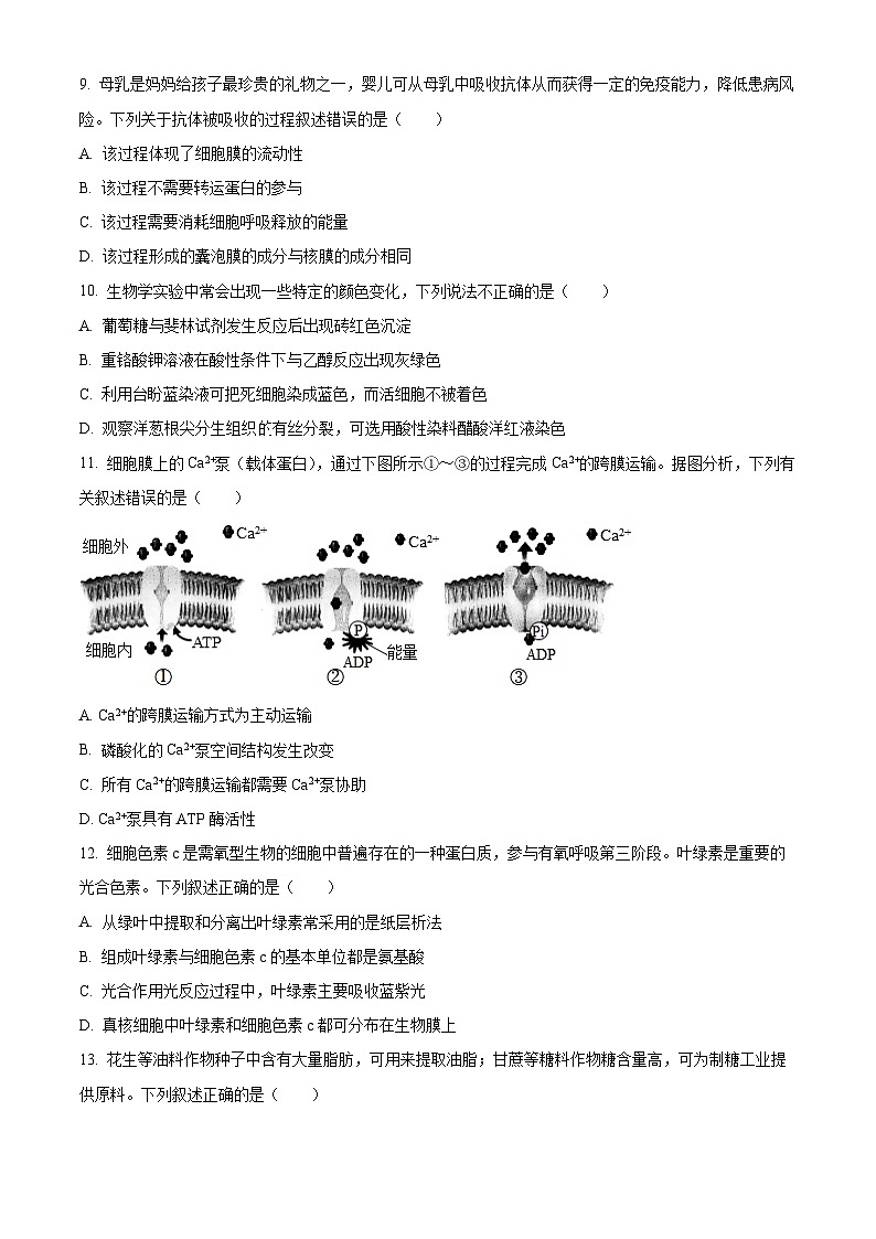 广东省汕尾市2025-2026学年度第一学期期末教学质量监测高一生物试卷（试卷+解析）第3页