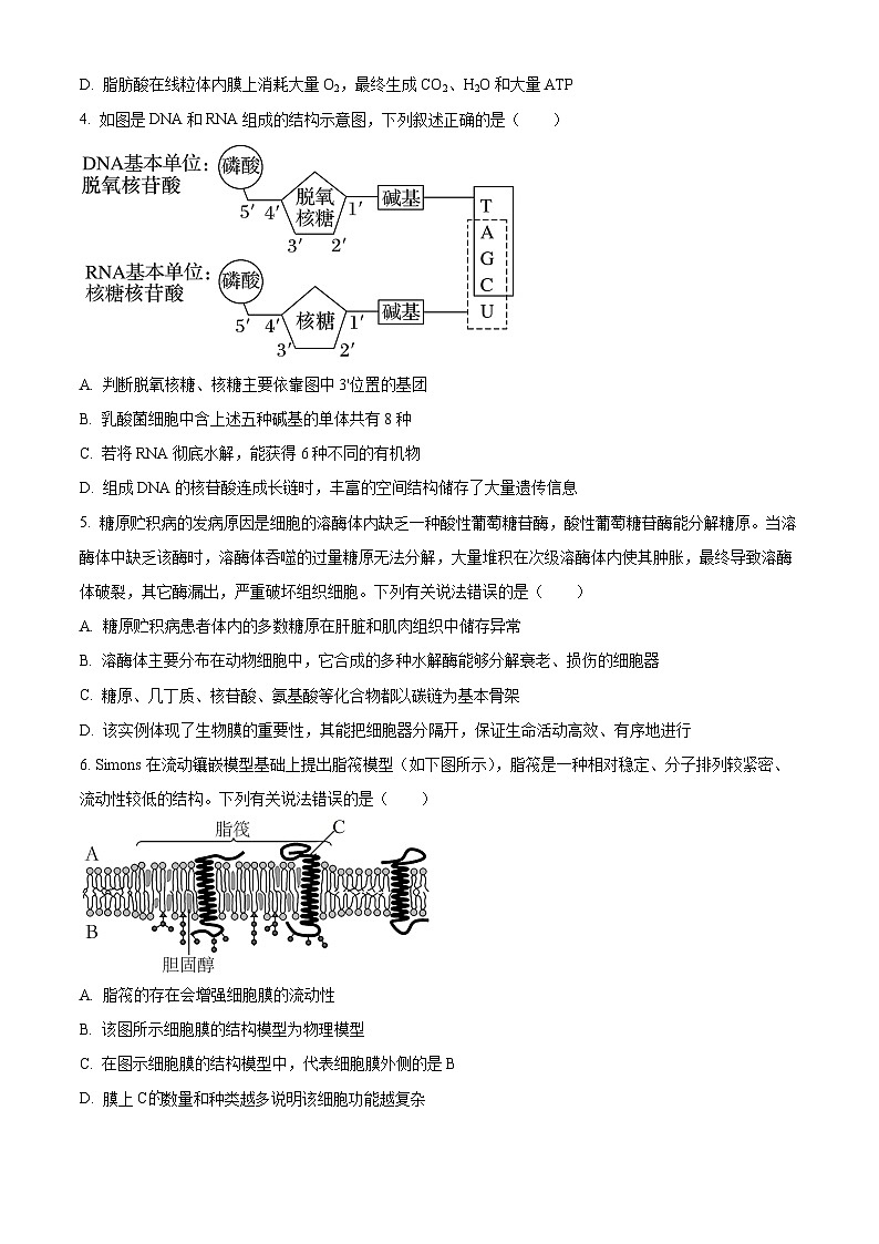 河南南阳市2025年秋期高一上学期期末期终质量评估生物试题（试卷+解析）第2页