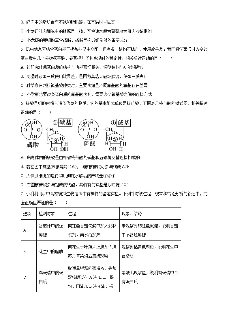湖北随州市2025—2026学年高一上学期期末考试生物试题（试卷+解析）第2页