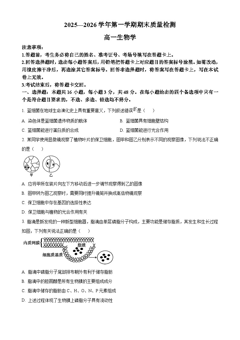 河南许昌市2025一2026学年第一学期期末质量检测高一生物学（试卷+解析）第1页