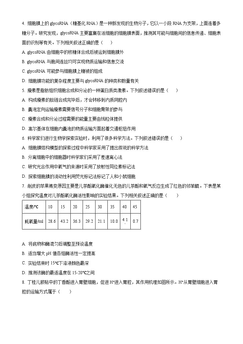 河南许昌市2025一2026学年第一学期期末质量检测高一生物学（试卷+解析）第2页