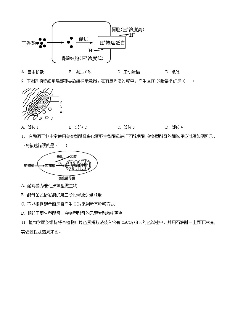 河南许昌市2025一2026学年第一学期期末质量检测高一生物学（试卷+解析）第3页