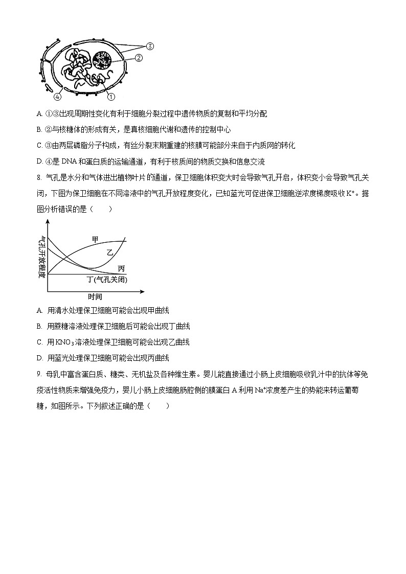 山东聊城市2025-2026学年度第一学期期末教学质量抽测高一生物试题（试卷+解析）第3页