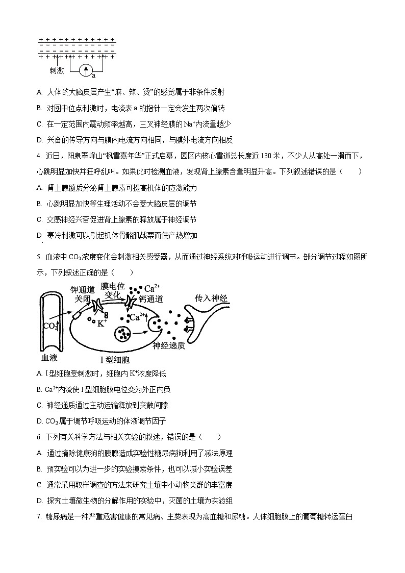 山西省阳泉市2025-2026学年第一学期期末教学质量监测高二生物试卷（试卷+解析）第2页